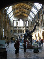 Natural History Museum (inside)